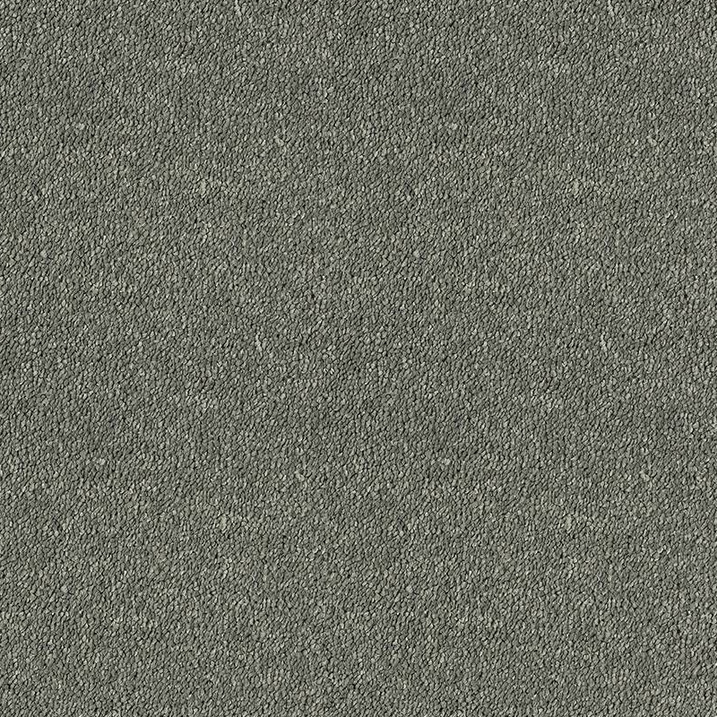 Abingdon Carpets Stainfree Sophisticat Titanium At Kings Carpets the